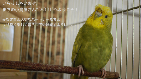 �ȥåץ��᡼��